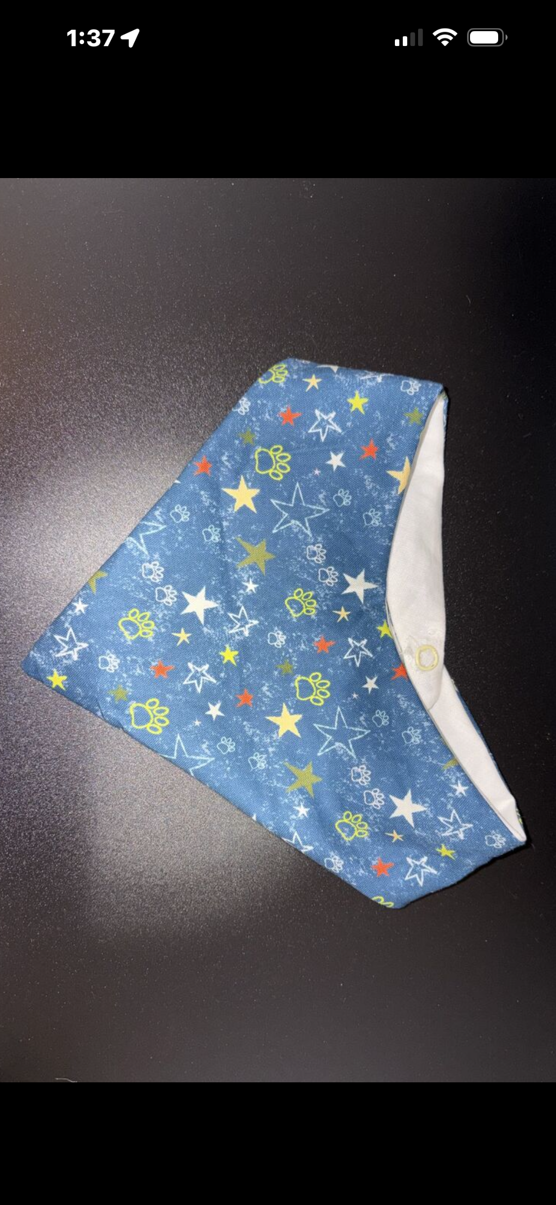Pet Snap bandanas
